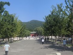 -晋祠公园