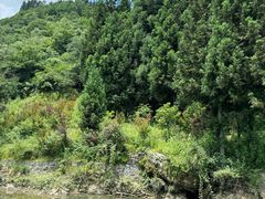-鹿院坪生态旅游景区