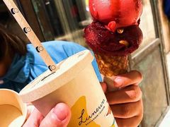 -LUNEURS月乐诗·法式冰淇淋(环贸店)