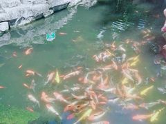 -青青世界