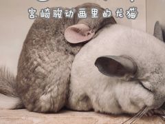 -龙猫仔乐园(惠福东路店)