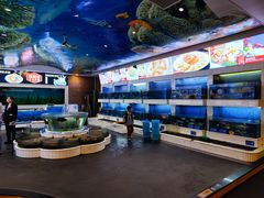 -益利大酒楼(井岸店)