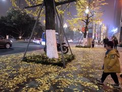 -白乐天毛肚火锅馆(南滨路店)