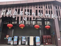 -青藏高原野生动物园