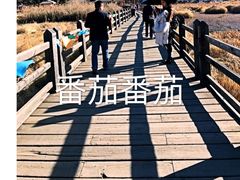 -泸沽湖国家级风景名胜区走婚桥