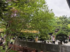 -普陀山风景名胜区-法雨禅寺