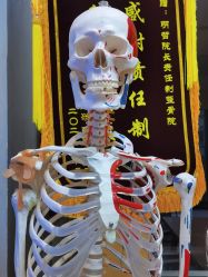 -颜和骨正·明哲式骨相美学整骨
