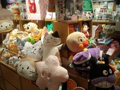 -九木杂物社(东方宝泰店)