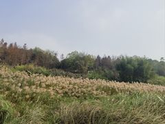 -金海湾滨江公园