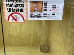 -屋虎猫馆(宝安大仟里店)
