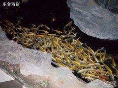 Picture 110-绿色时代大酒店