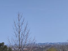 -北京西山国家森林公园