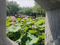 -成都市文化公园