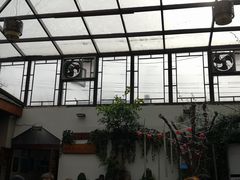 -丽江庭院之爱在路上(西单店)