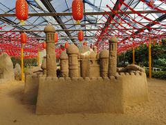 -南宫五洲植物乐园