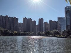 -木塔寺遗址生态公园