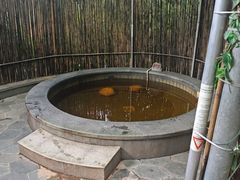 -丰泰花园酒店热矿泉