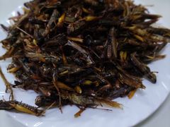 炸蚂蚱-万顺啤酒屋(皇寺路店)