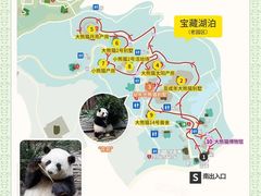 -成都大熊猫繁育研究基地