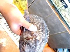 -四海蒸鲜蒸汽海鲜自助(北戴河店)
