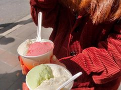 青苹果莳萝-Dip in Gelato(富民路店)