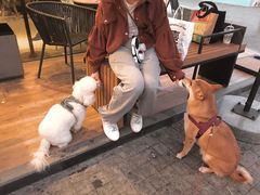 -星巴克(珠海仁恒滨海中心店)