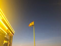 -more than meow吴止猫主题餐厅(承德 中船汇店)