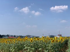 -光明小镇欢乐田园