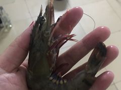 -坂田天虹