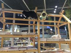 -小时光咖啡馆(开森度假森林店)