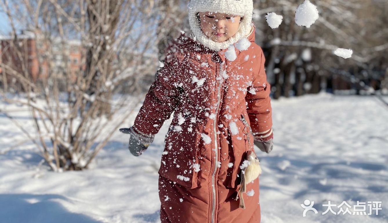 冬天来东北玩雪