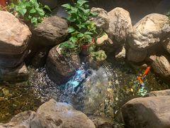 -清真·京华源铜锅涮肉(丰庆店)