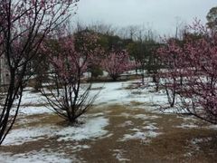 -合肥三国新城遗址公园