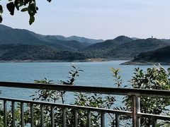 -望湖烤鱼
