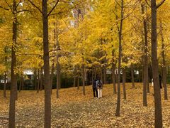 -河南财经政法大学(郑东校区)