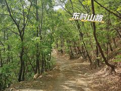 -定都峰