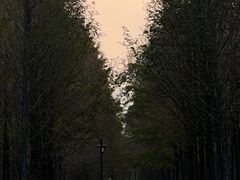 -武昌江滩
