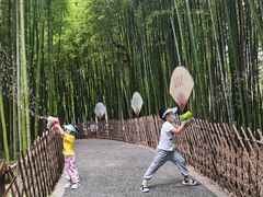 -陈家山荷花公园