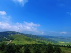 -张北坝上草原
