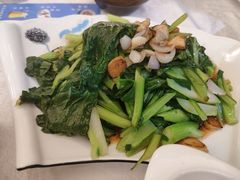 -光明渔港(海悦天地店)