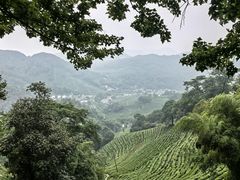-西湖风景区十里琅珰-五云山