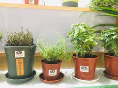 -歎雪糕低糖低脂Gelato冰淇淋