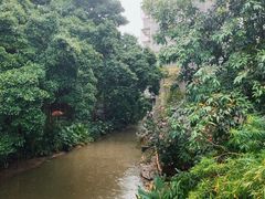 -小洲村