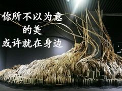 -成都许燎源现代设计艺术博物馆