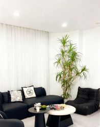 -KISS U 国际美学