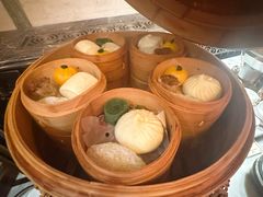 -上海和平饭店茉·莉酒廊 Jasmine Lounge
