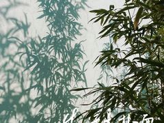 -国家植物园