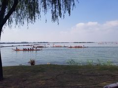 -漕湖湿地公园