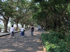 -大湾区中央湿地公园