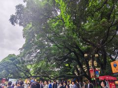 -桂林独秀峰王城景区